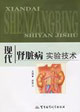 现代肾脏病实验技术