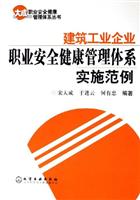 建筑工业企业职业安全健康管理体系实施范例