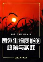国外生物质能的政策与实践