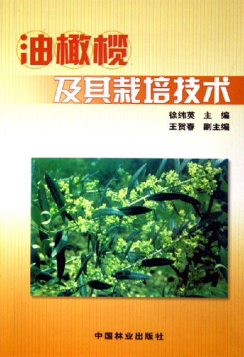 油橄榄及其栽培技术