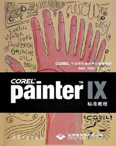 Painter IX׼̳-()