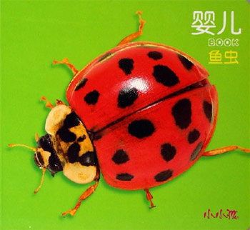 鱼虫-婴儿BOOK(小小孩)