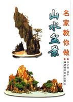 名家教你做-山水盆景