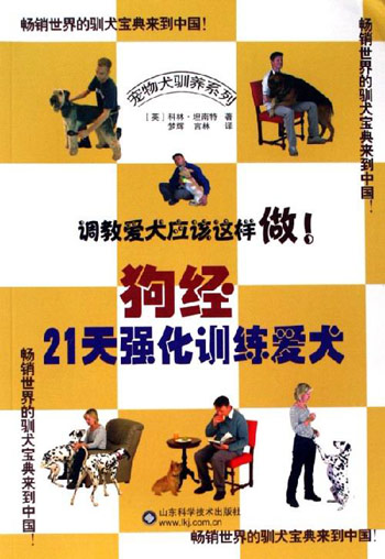 狗经21天强化训练爱犬