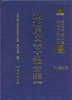 湖北库区考古报告集-甲种第五号(第三卷)