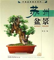 苏州盆景-中国盆景精品赏析