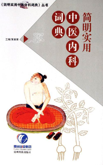 简明实用中医内科词典
