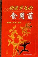 功效非凡的食用菌