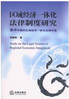 区域经济一体化法律制度研究：兼评中国的区域经济一体化法律对策