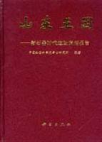 山东王因——新石器时代遗址发掘报告