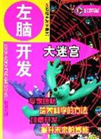 红色卷-左脑开发大迷宫