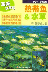 热带鱼·水草