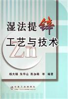 湿法提锌工艺与技术