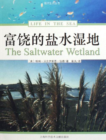 富饶的盐水湿地