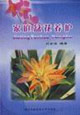 家庭盆花养护