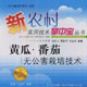 黄瓜.番茄无公害栽培技术
