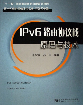 IPv6 路由协议栈原理与技术