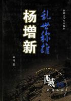 乱世称雄-杨增新