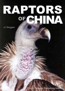 中国猛禽：英文