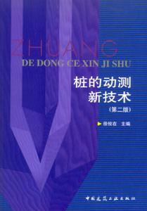 桩的动测新技术