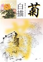 菊-白描