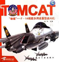 雄猫-F-14舰载多用途重型战斗机
