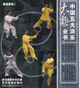 中国五大派系太极全书-保健学苑I(附赠详细拳法动作DVD)