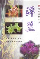 洋兰