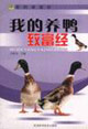 我的养鸭致富经
