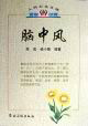 人民卫生文库·名医说病 脑中风