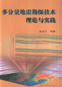 多分量地震勘探技术理论与实践