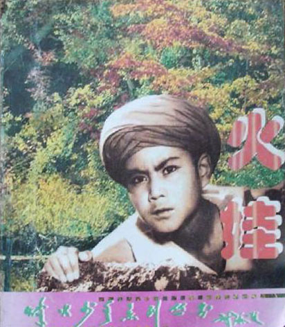 烽火少年系列丛书--火娃