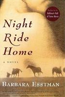 night ride home