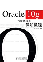 Oracle10g系统管理员简明教程