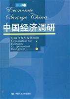 中国经济调研