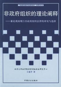 非政府组织的理论阐释