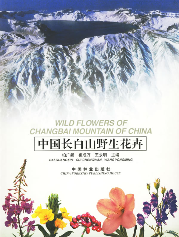 中国长白山野生花卉
