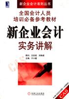 新企业会计 实务讲解