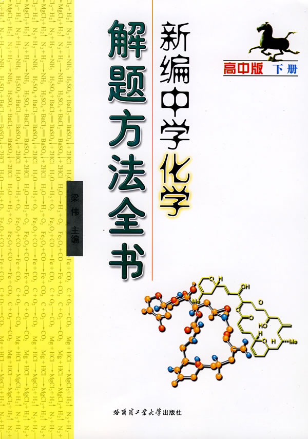 新编中学化学解题方法全书:高中版:下册