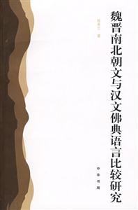魏晋南北朝文与汉文佛典语言比较研究