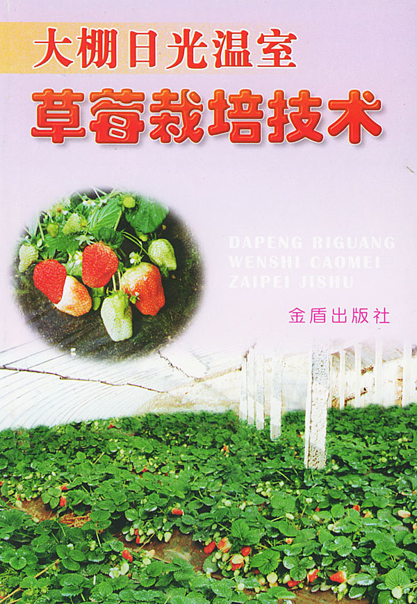大棚日光温室草莓栽培技术