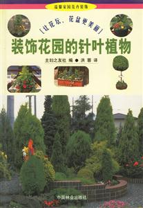 装饰花园的针叶植物