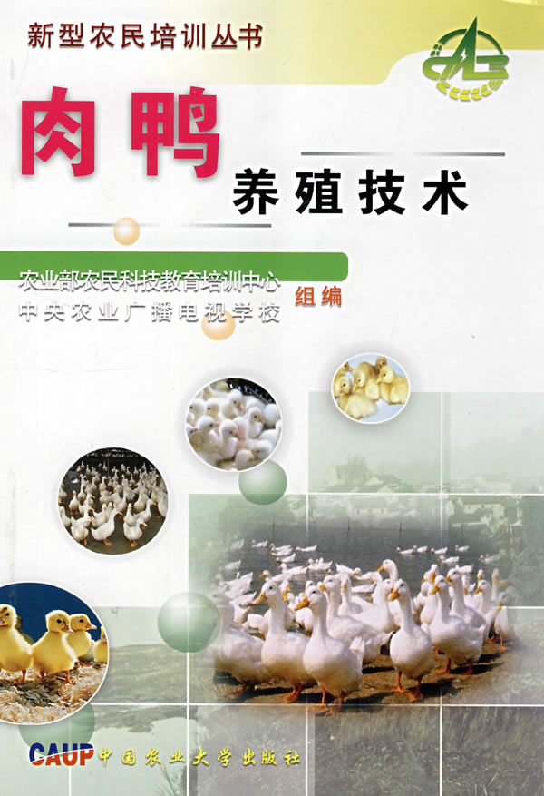 肉鸭养殖技术