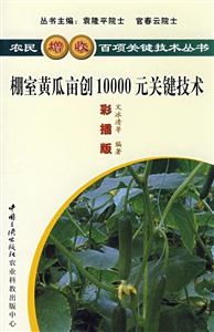 棚室黄瓜亩创10000元关键技术