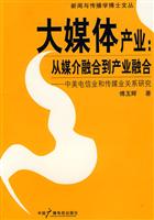 大媒体产业:从媒介融合到产业融合