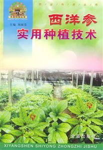 西洋参实用种植技术