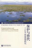 保护与替代三江平原湿地研究
