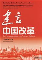 建言中国改革