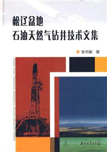 松辽盆地石油天然气钻井技术文集