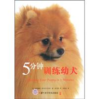 5分钟训练幼犬